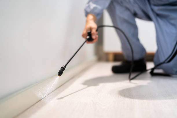 Rodent Entry Point Assessment in Indian Springs