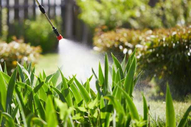 Tamper-Resistant Bait Stations for Rodents in Indian Springs