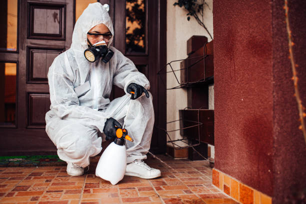 Attic and Crawl Space Rodent Treatment in Indian Springs